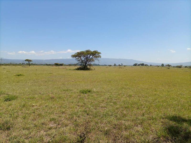 Plots for sale near Simba Cement