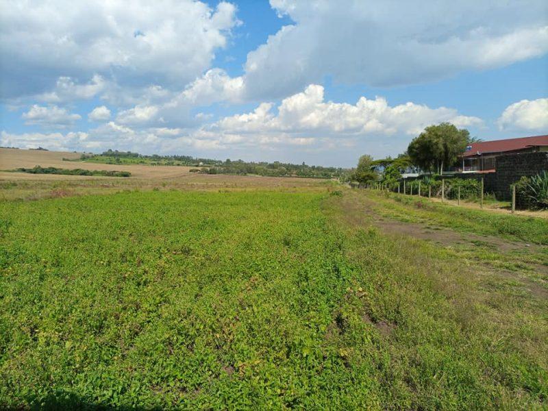 1/4 Acre plots at Zaburi Centre in Kiamunyi