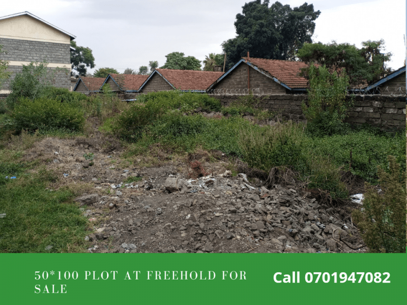 Ideal plot in Freehold