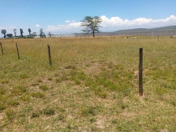 1/4Acre plot for sale in Barnabas