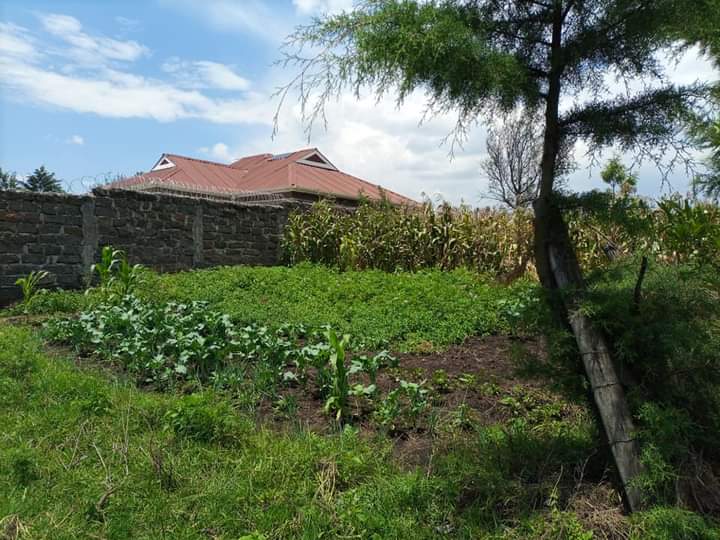 1/8 acre plot for sale at cess kiamunyi