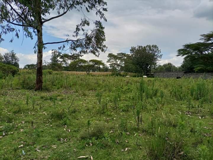 1/8 acre plot for sale at mercy Njeri