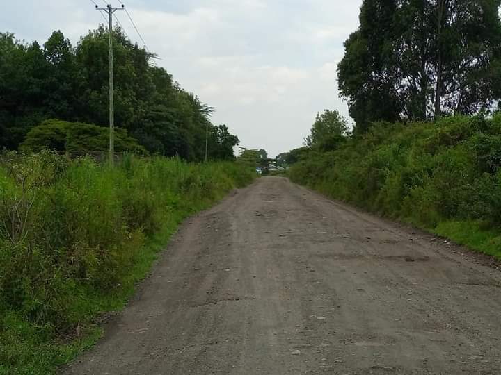 1/8 acre plot for sale at mercy Njeri