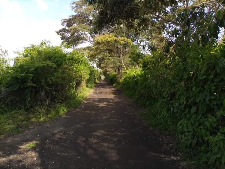 1/8 acre plots for sale at mercy Njeri