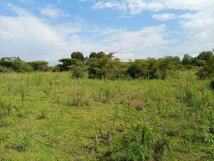 1/8 acre plots for sale at mercy Njeri