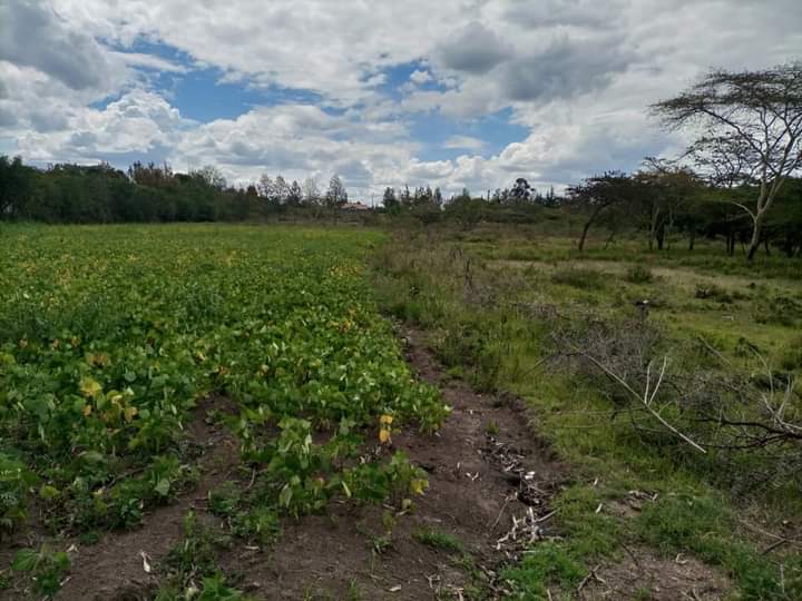 1/2 acre at st Agnes Nakuru for sale