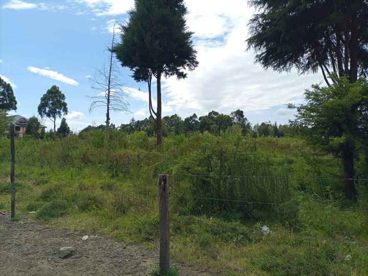 10 acres Land for sale at Ngata Nakuru