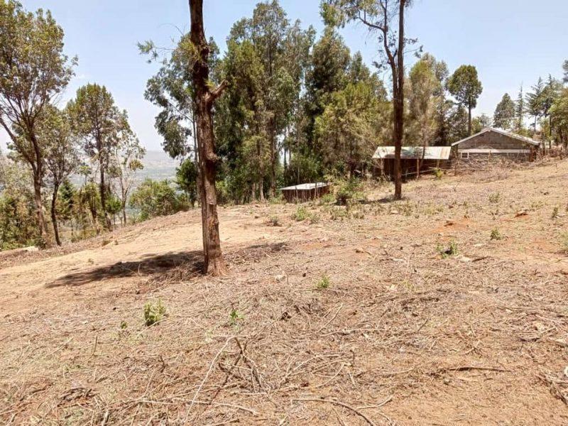 10acres land for sale at Nyahuru