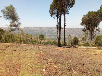 10acres land for sale at Nyahuru