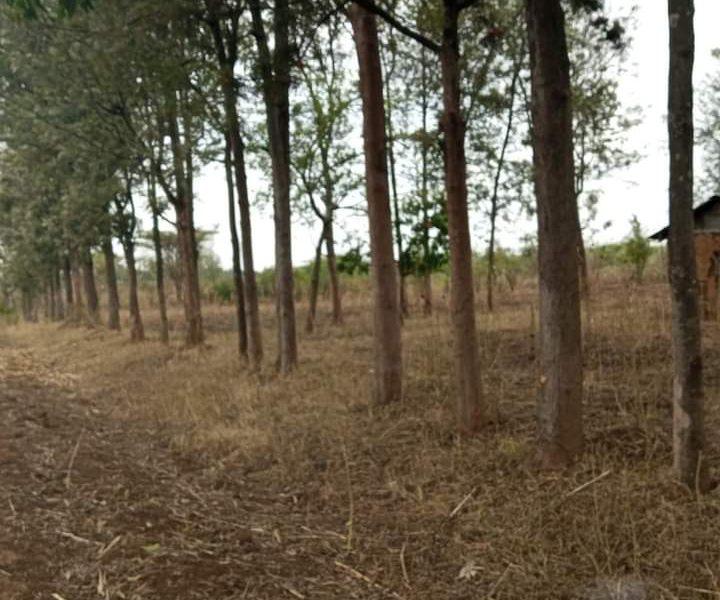 5 acres land for sale at ol'rongai Nakuru