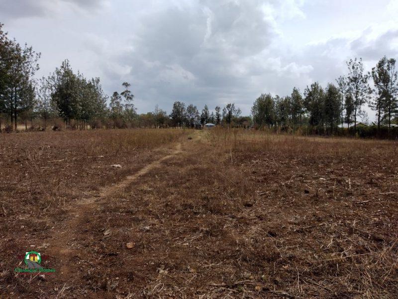 1/4 acre plot for sale at chergei Nakuru