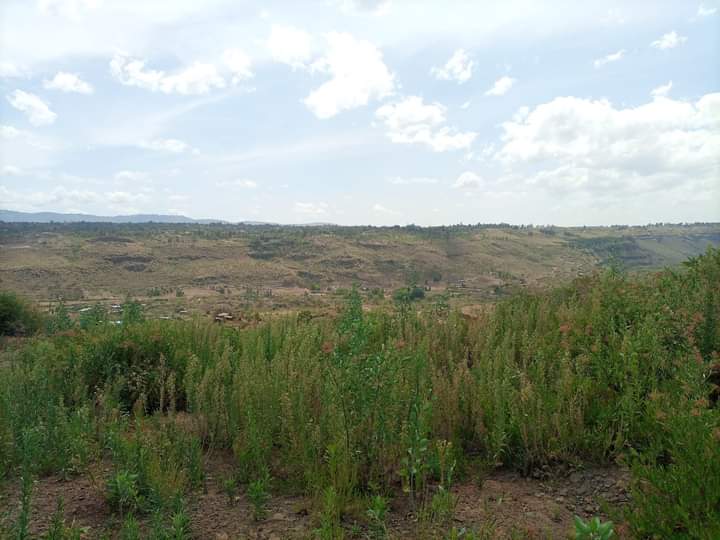 50*100 plots for sale at wanyororo B bahati area