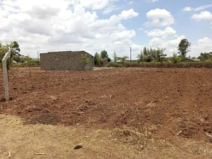 1/4 acre plots near rvist Nakuru
