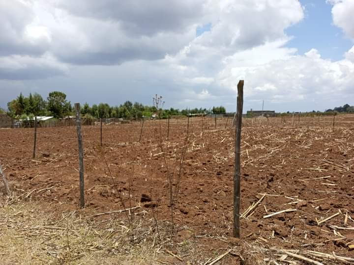 1/4 acre plots near rvist Nakuru