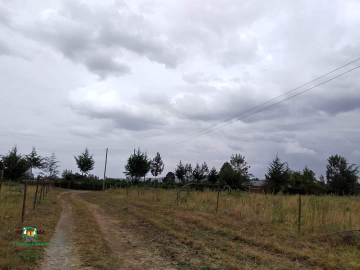 1acre for sale in Kabarak