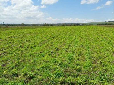 1acre for sale at Simba cement