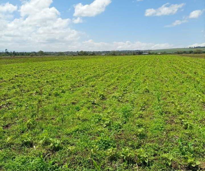 1acre for sale at Simba cement