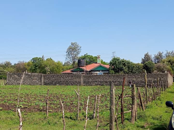 1/4 acre for sale at treefarm Nakuru