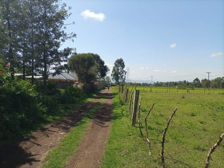 1/4 acre for sale at treefarm Nakuru