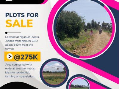 50 by 100 plots for sale at Nganuini Njoro