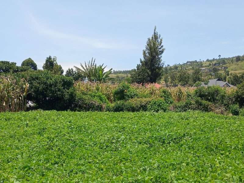 plot for sale at Heshima