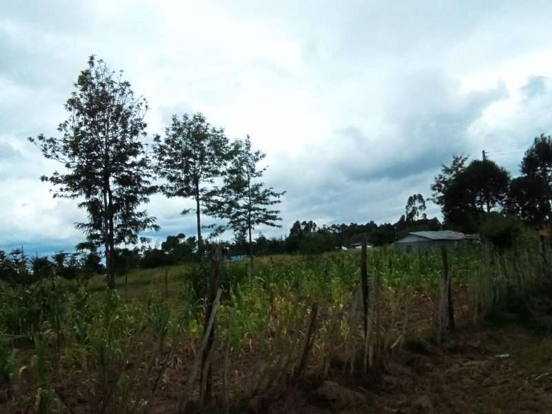 land for sale at Kasuku