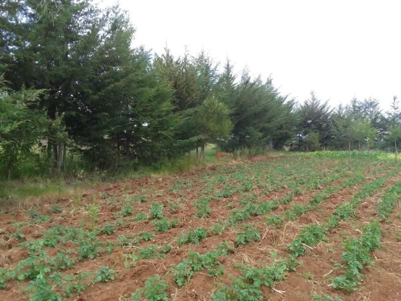 2acres at Tumaini Nyandarua