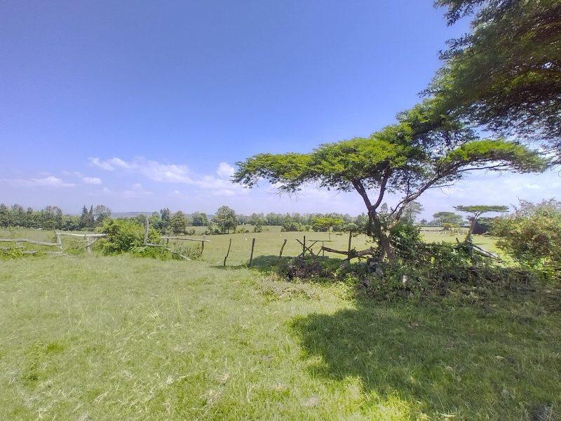7acres for sale