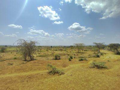 20 acres Land forsale