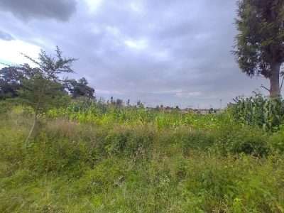 Commercial land forsale